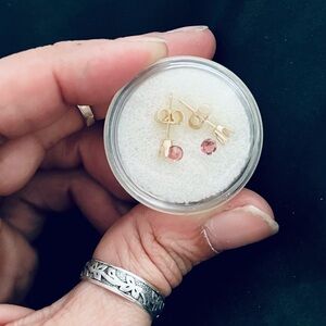 NWT Elegant Gold and Pink Stud Earrings